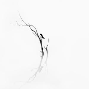 社会大白话 头像