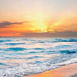 源远流长286208689 头像