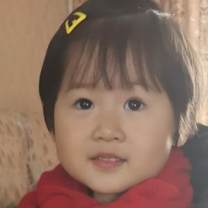 中华情赤子心 头像