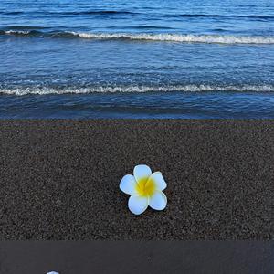 薇安 头像