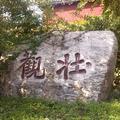 老亓41