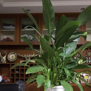 连姐爱分享 头像