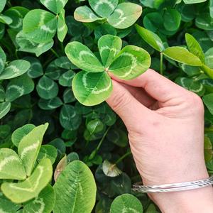 复古传奇品味经典 头像