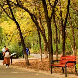 混迹北京的漯河人 头像