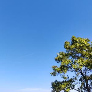 塞尔维亚汤达人 头像