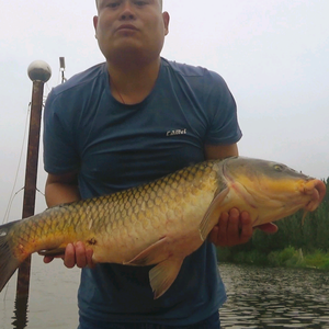 阿木的渔乐生活 头像