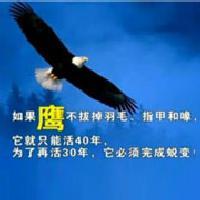 福兴坚哥聊电脑