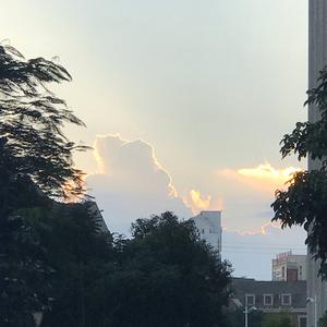 写故事的沈二 头像