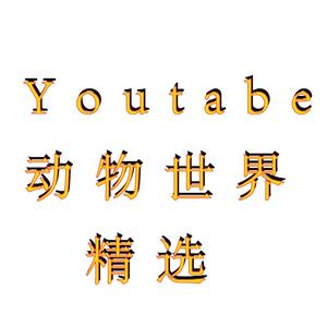 Youtabe动物世界精选头像