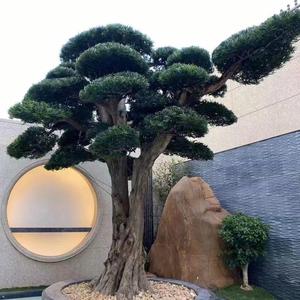 直爽的童年回忆 头像