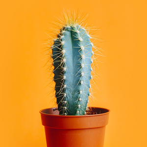 视野橡皮1C4 头像