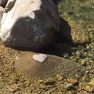 暴躁的两宝妈妈 头像
