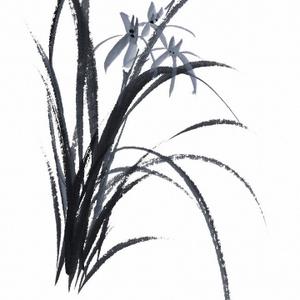 天罚bug小会计 头像