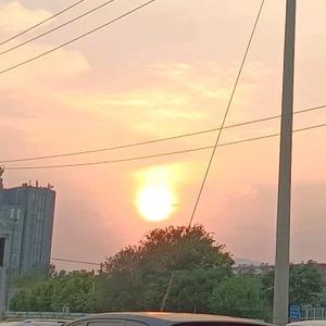 智慧巴里7x5d 头像