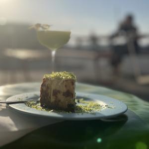 珊瑚不是虫啊 头像