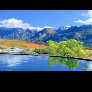 阳光明媚的日子 头像