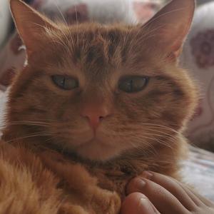 茶梅故事会 头像