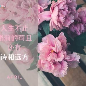 我看---教育和就业 头像