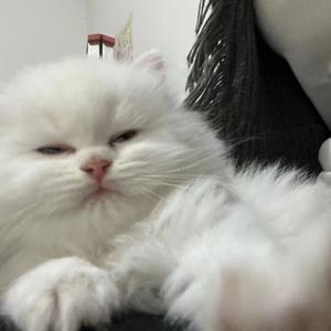 五月谈娱乐 头像