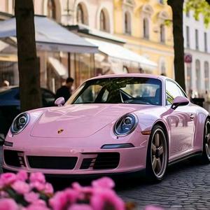 沈小花与花儿霸 头像