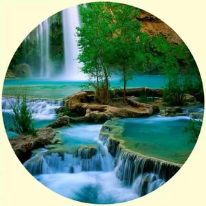 诚信是做人的准则 头像