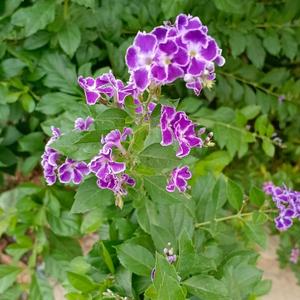 心如止水oGqS 头像