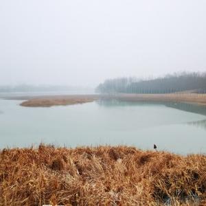 简单星星qa