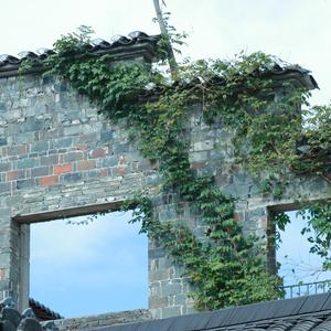 银龄智慧馆 头像