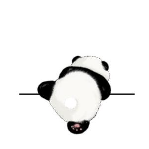 程乐乐 头像