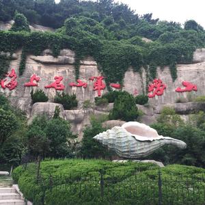 不凡的茶馆 头像