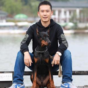 丁宝训犬头像