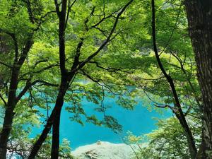 未来几何学 头像