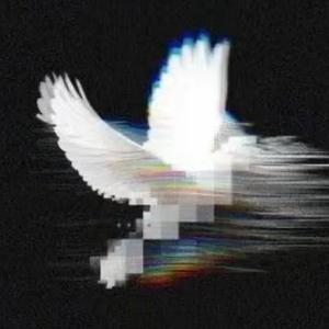 如花的衣橱 头像