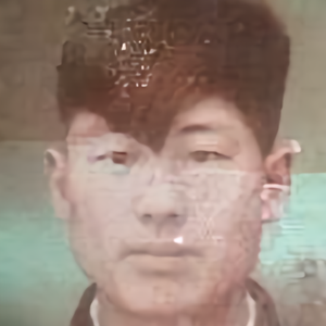 张老双