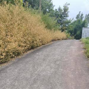 潘金莲随笔 头像