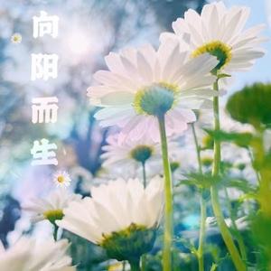 知情达理溪水潺潺 头像