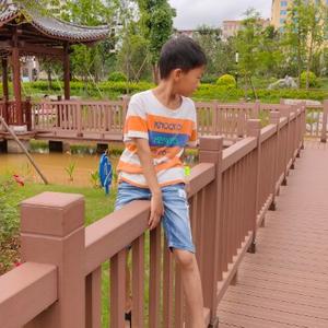 龙春仁穷游 头像