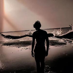 奋发面条0v 头像