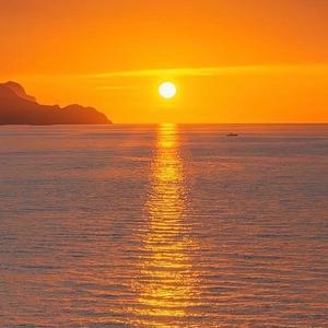 洒脱的大洋 头像