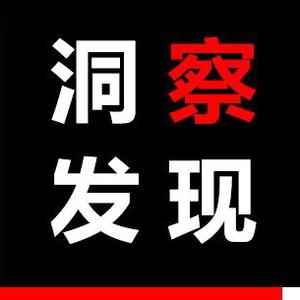 洞察与发现 头像