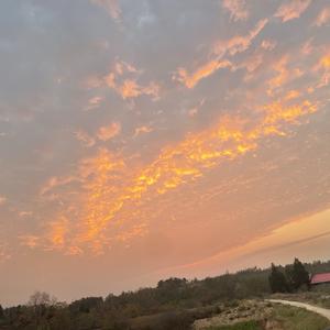 时髦豆花cMx 头像