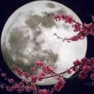 努力运动每一天