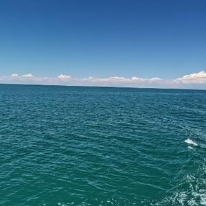 三易的山谷 头像