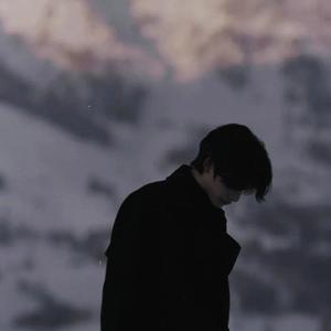 顽强艺术家 头像