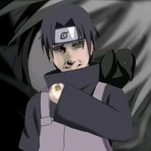 孤月（世一鼬） 头像