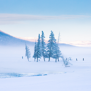 自若明月XH 头像