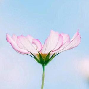 和光掠影