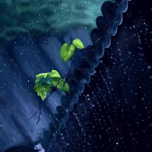 这个名字共有九个字 头像