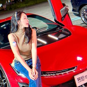 车轮上的兔司令 头像