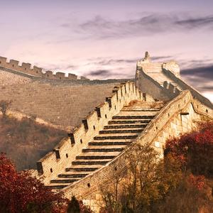 商业逻辑拆解实验室 头像